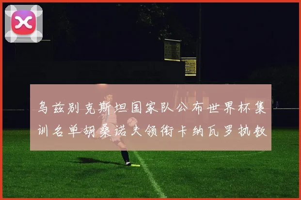 乌兹别克斯坦国家队公布世界杯集训名单胡桑诺夫领衔卡纳瓦罗执教